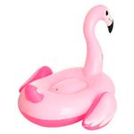 Boia-Inflavel-Mor-Flamingo